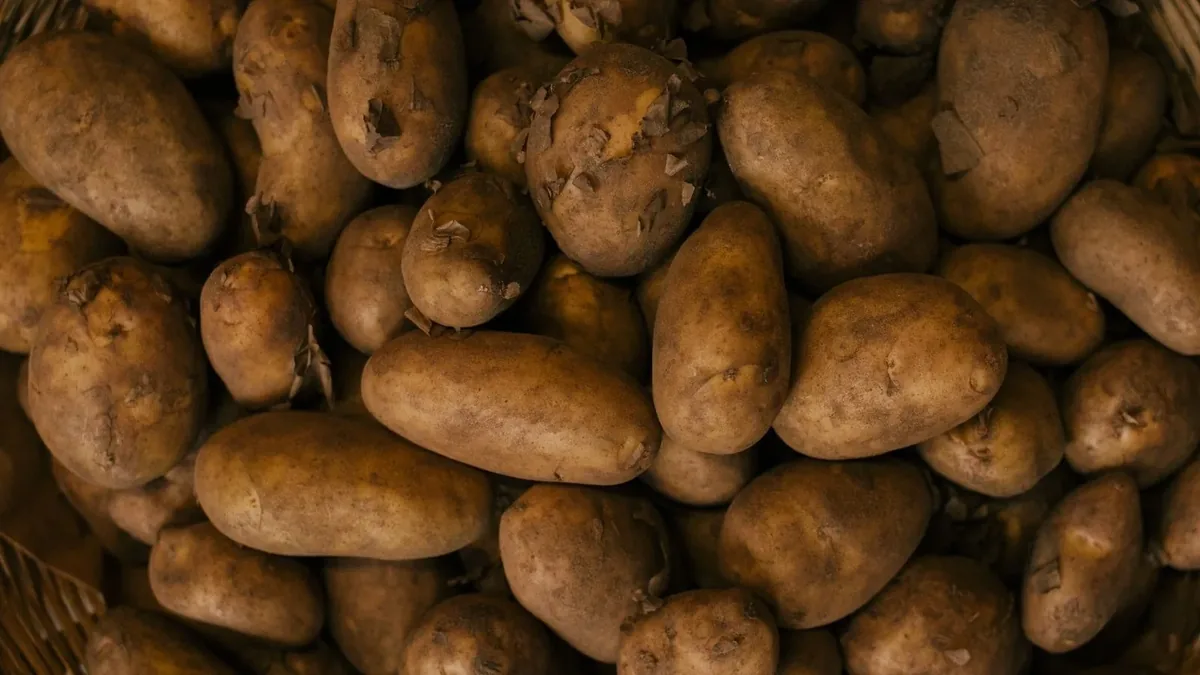 A woven basket piled high with unwashed potatoes